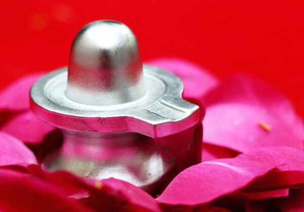 Parad (Mercury) Shivling - Image 5